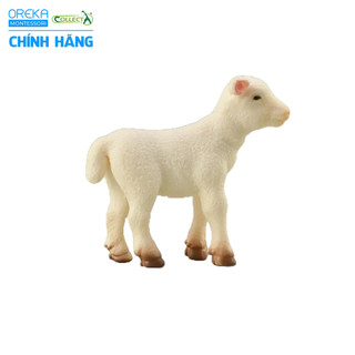 Mô hình động vật: Cừu con