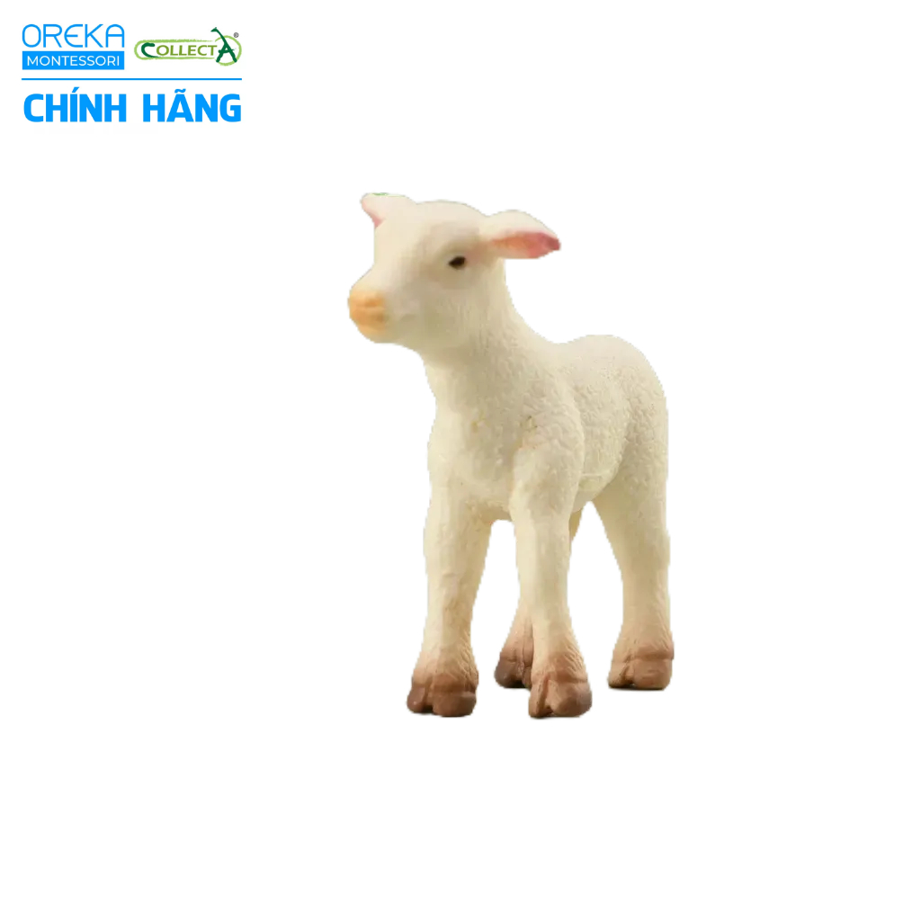 Mô hình động vật: Cừu con