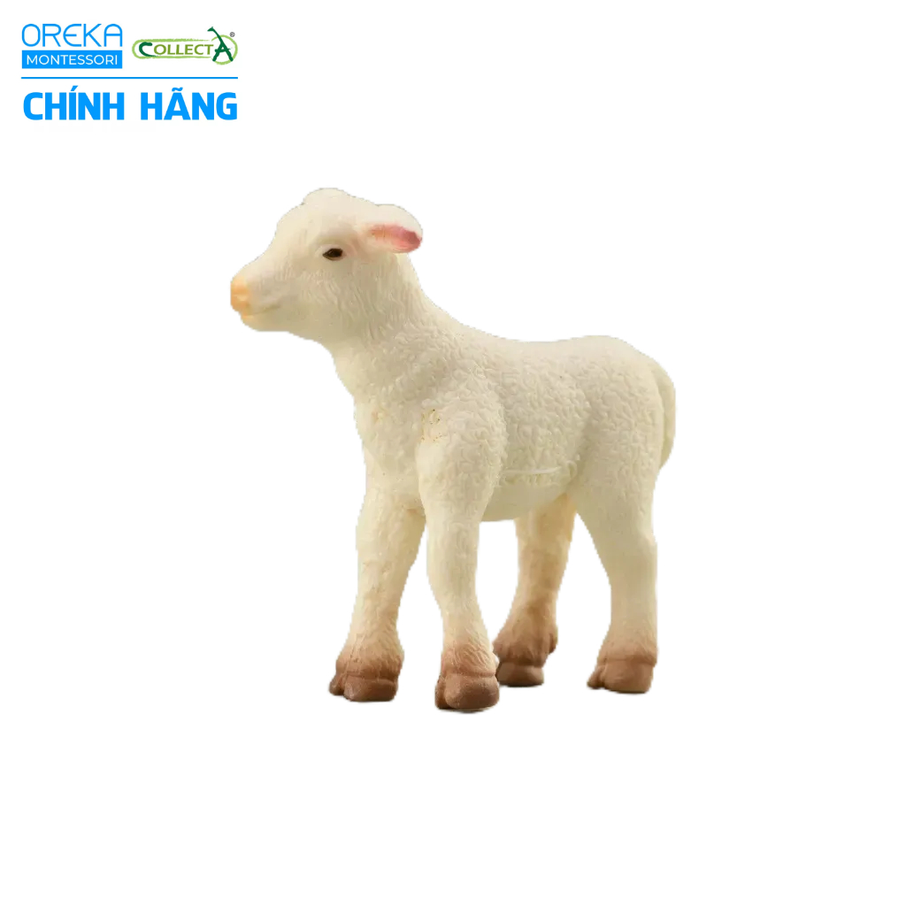 Mô hình động vật: Cừu con