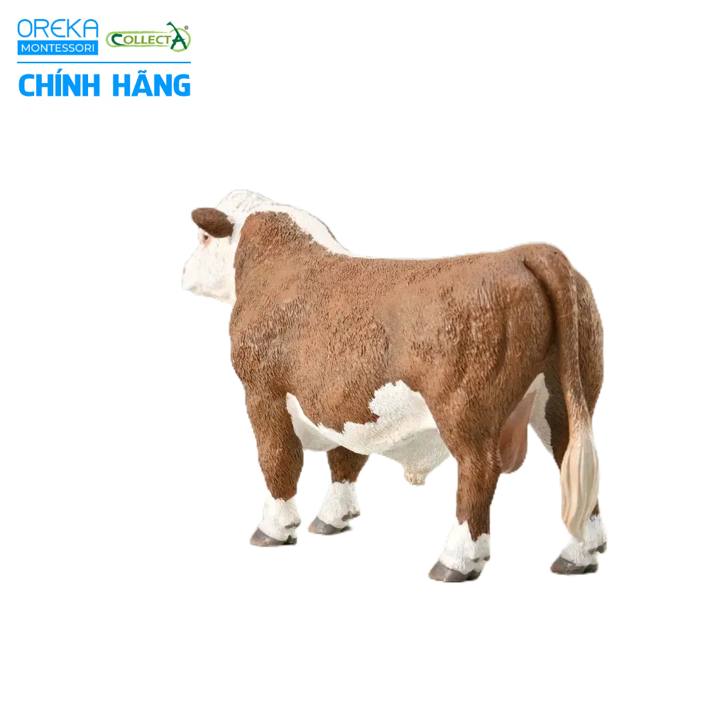 Mô hình động vật: Bò Hereford bố