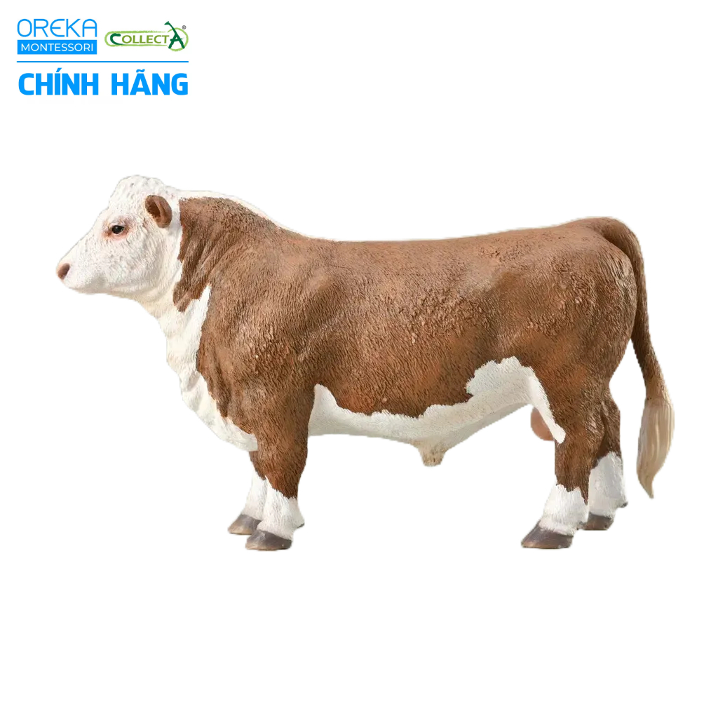 Mô hình động vật: Bò Hereford bố