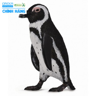 Mô hình động vật: Chim cánh cụt Nam Phi