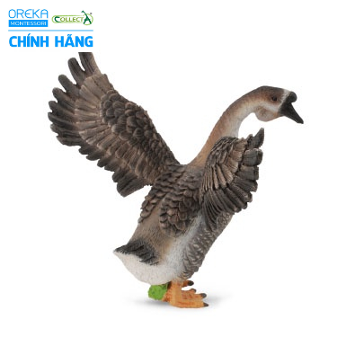 Mô hình động vật: Ngỗng bố