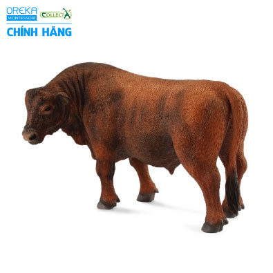 Mô hình động vật: Bó bố Angus đỏ
