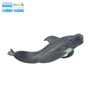 Mô hình động vật: Cá voi hoa tiêu