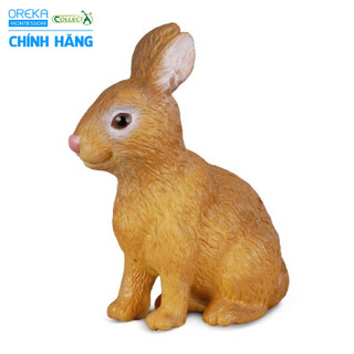 Mô hình động vật: Thỏ