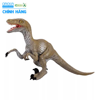 Mô hình động vật: Khủng Long Velociraptor