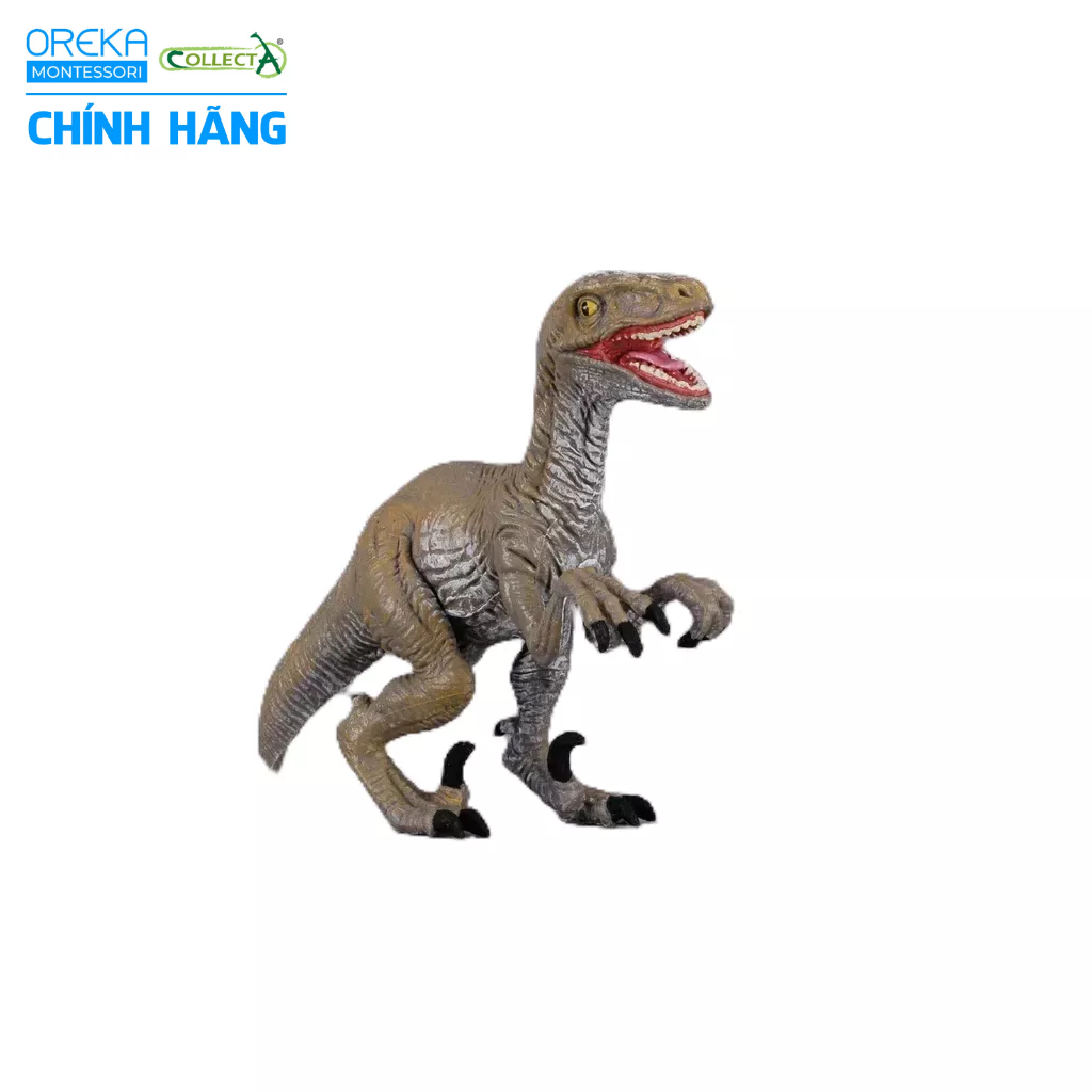 Mô hình động vật: Khủng Long Velociraptor