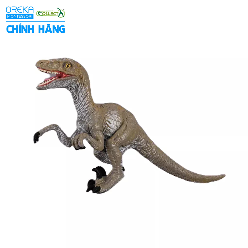 Mô hình động vật: Khủng Long Velociraptor