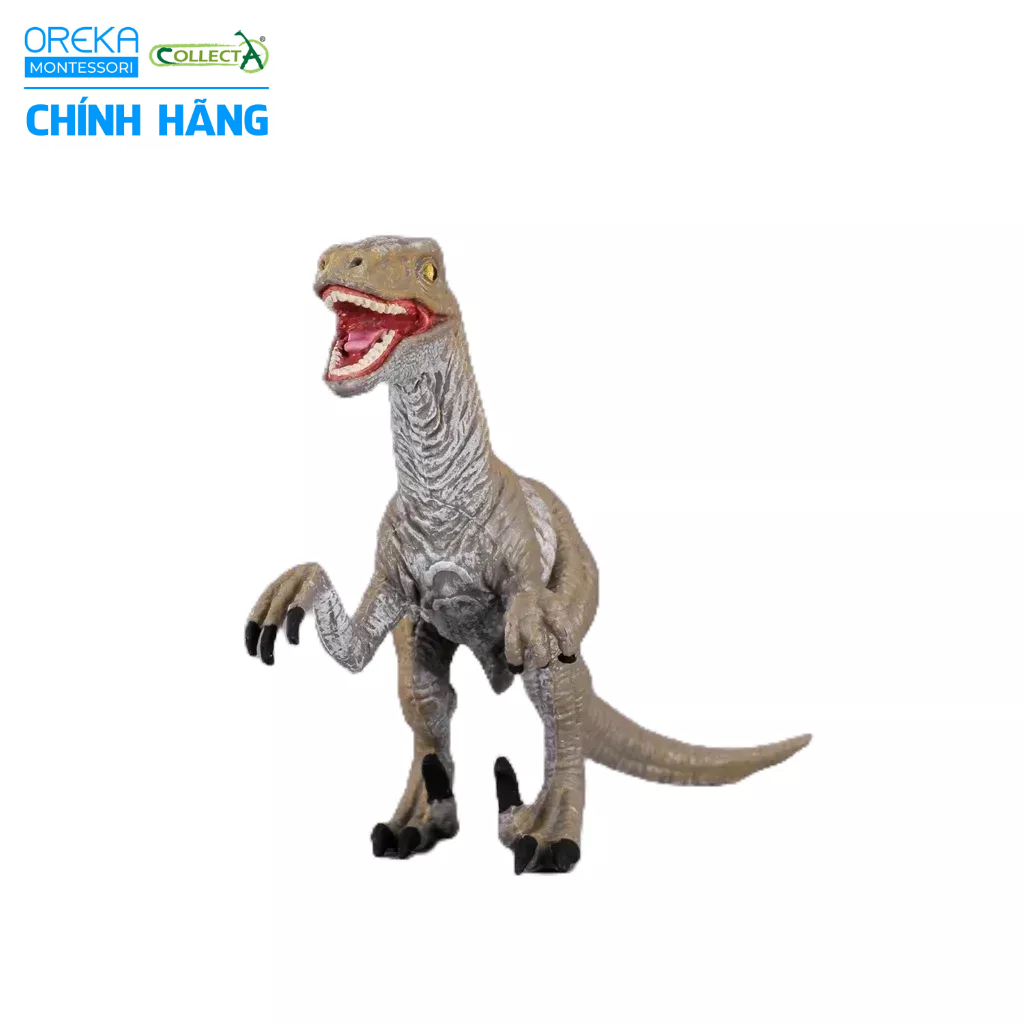 Mô hình động vật: Khủng Long Velociraptor