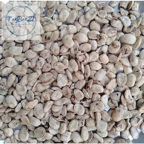 Combo 5 hạt sang rừng  H'Mong Yên Bái