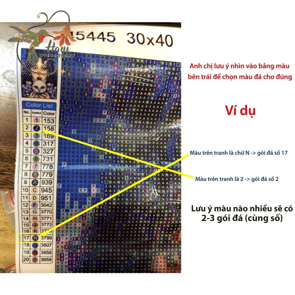 Tranh Đính Đá Hoa, Gắn Đá 5D Kích Thước 30x40 Tự Hoàn Thành DIY