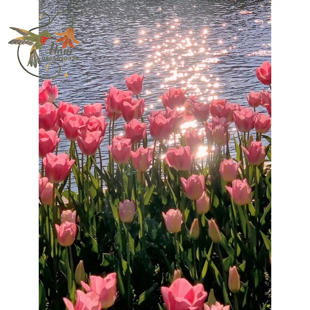 Tranh Đính Đá Hoa, Gắn Đá 5D Kích Thước 30x40 Tự Hoàn Thành DIY