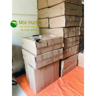 [SIÊU RẺ] 1000 Bộ Combo 4 Món Dùng 1 Lần (đũa, thìa, giấy, tăm)
