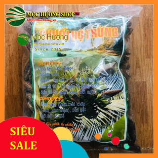 Chuối Hột Rừng Tây Nguyên
