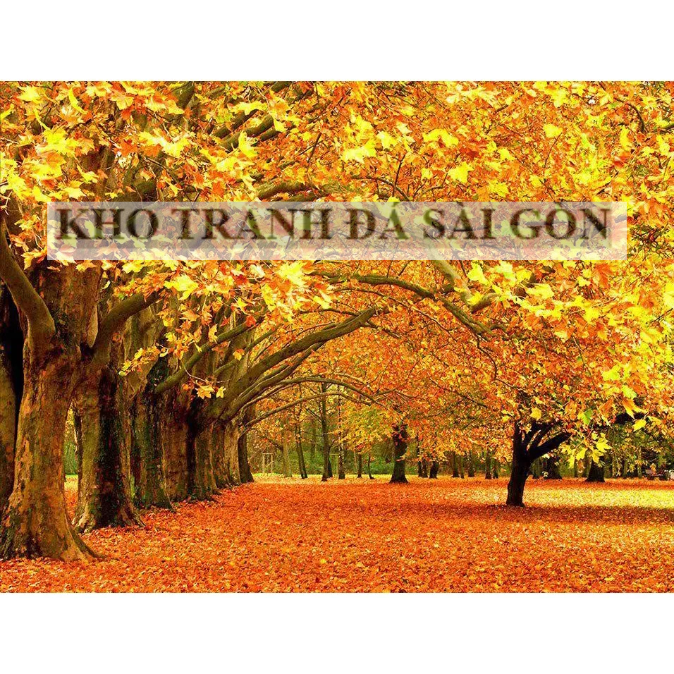 (Sỉ) Tranh Đính Đá Tự Làm, Tranh Gắn Đá 5D Tự Hoàn Thành