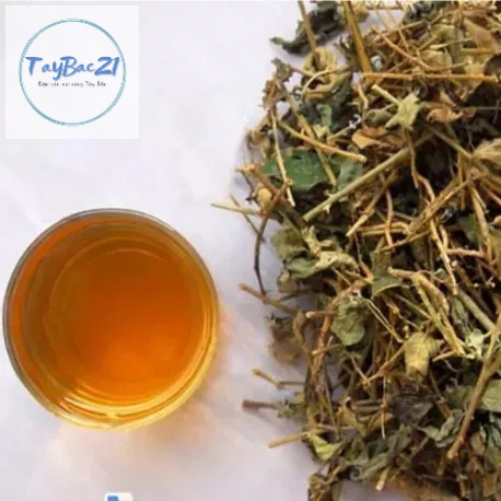 1Kg Cà gai leo khô hỗ trợ về gan
