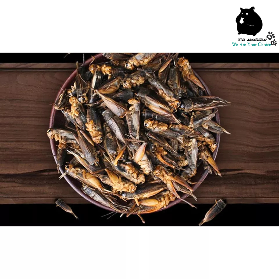 Dế sấy khô 100g