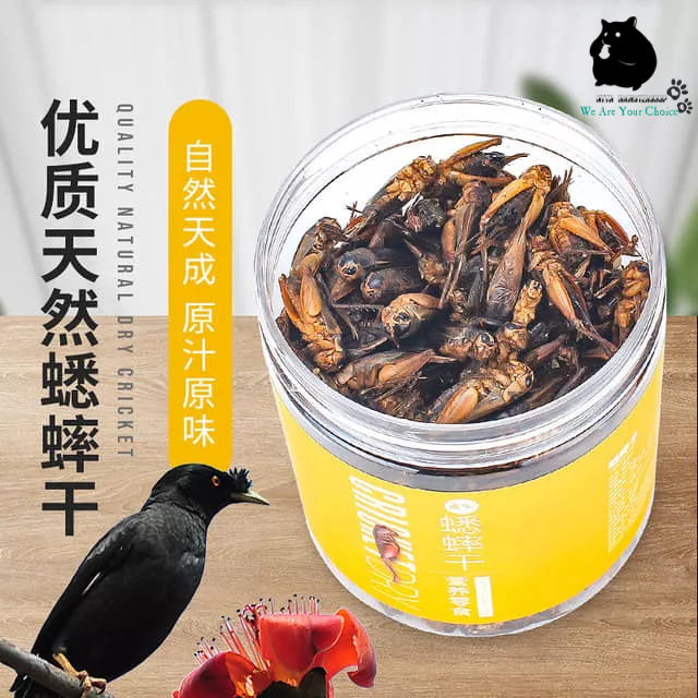 Dế sấy khô 100g