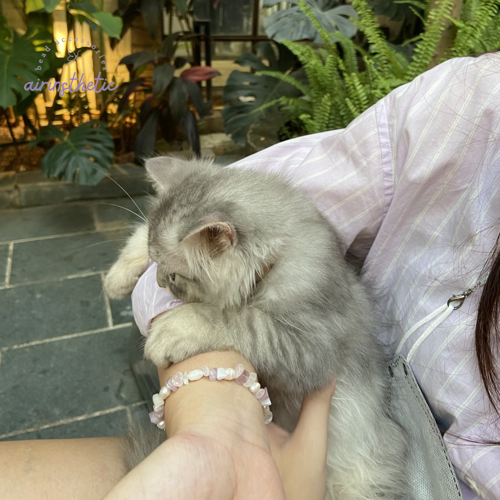 Vòng tay dream màu hồng tím pastel nhẹ nhàng