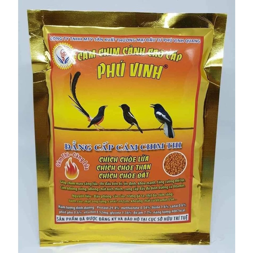 Cám Phú Vinh chích chòe (căng lửa)
