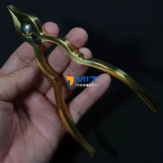 Kềm Tách Sò Huyết Inox Nguyên Khối Cao Cấp - Bảo hành trọn đời (Phiên bản Vàng Đồng)