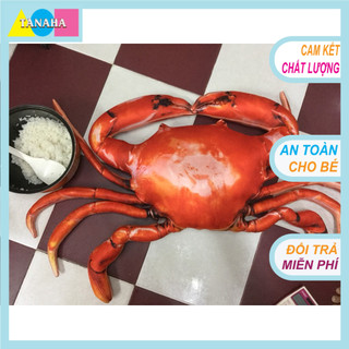Gối ôm 3D Loại 1, Con Cua 1m