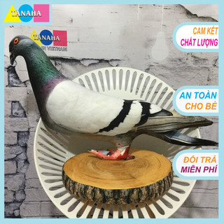 Gôi ôm 3D Loại 1 ,Chim Bồ Câu 75cm