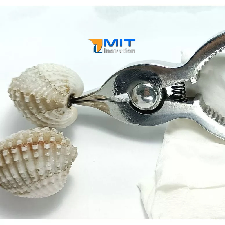 Dụng Cụ Tách Sò Huyết Inox - Kềm Tách Sò Huyết Inox - Bảo hành trọn đời (Phiên bản 2 Trắng Bóng)