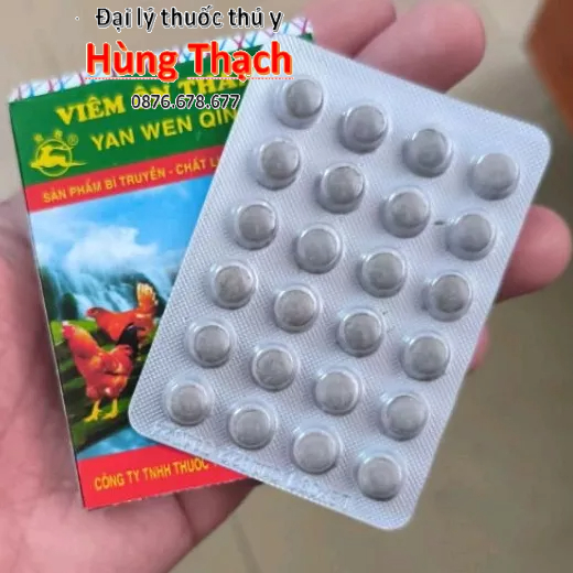 Viêm Ôn Thanh vĩ 24 viên cho gà khò khè, phân xanh, phân trắng, xã cánh, xù lông, sốt.