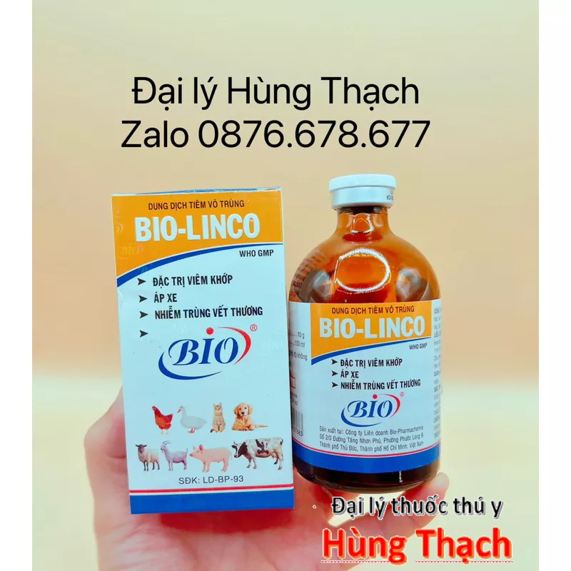 Bio Linco chai 100ml khớp, Áp Xe cho gia súc, gia cầm