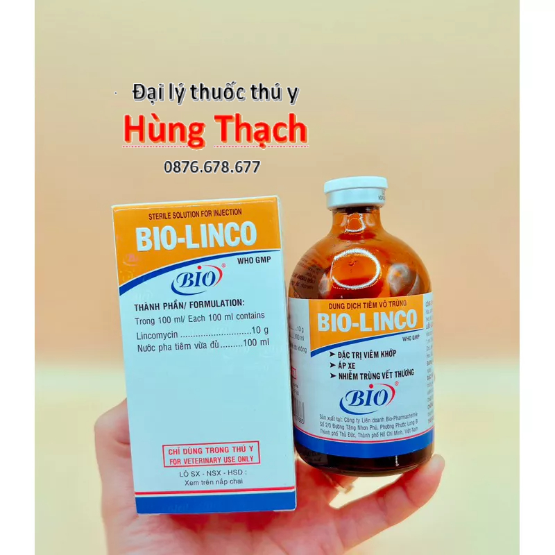 Bio Linco chai 100ml khớp, Áp Xe cho gia súc, gia cầm