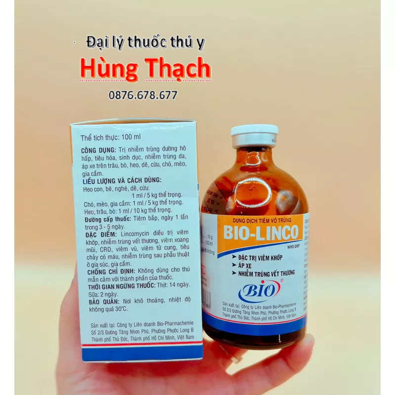 Bio Linco chai 100ml khớp, Áp Xe cho gia súc, gia cầm