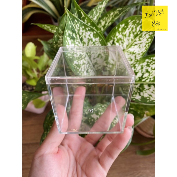 Hộp mica kích thước 6.5*6.5cm dùng trưng bày mô hình, mẫu vật, sản phẩm,...