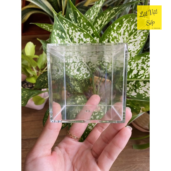 Hộp mica kích thước 6.5*6.5cm dùng trưng bày mô hình, mẫu vật, sản phẩm,...