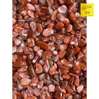 100g Vụn đá Red Agate tự nhiên