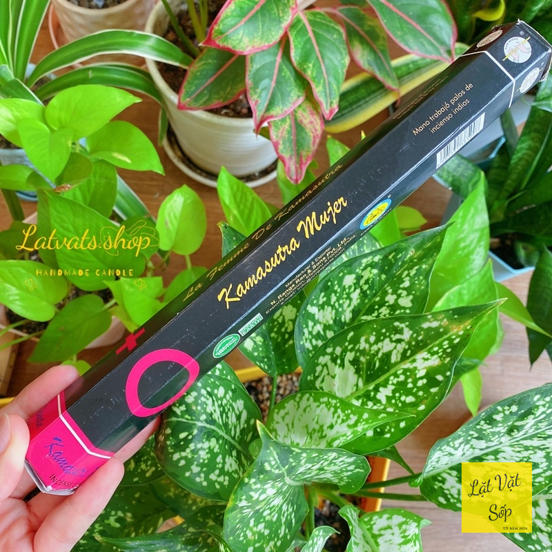 FLUTE INCENSE - THANH HƯƠNG LIỆU THANH TẨY KHÔNG GIAN, HỖ TRỢ THƯ GIÃN, THIỀN ĐỊNH, CHIÊU TÀI CHIÊU LỘC