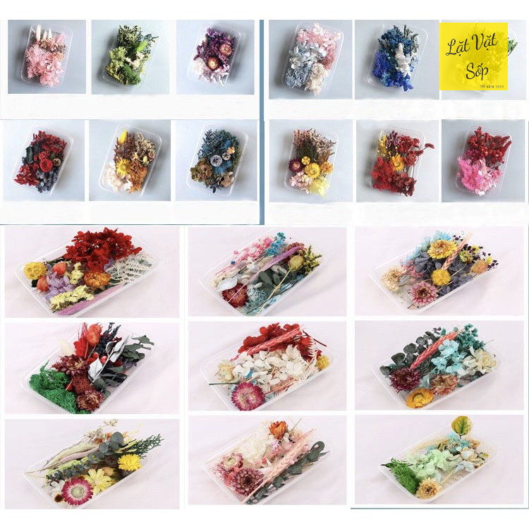 HOA KHÔ ĐÓNG HỘP/ HOA BẤT TỬ MIX ĐỦ LOẠI HỘP 30 GRAM