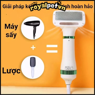 Máy sấy lông chó mèo,lược sấy lông chó mèo