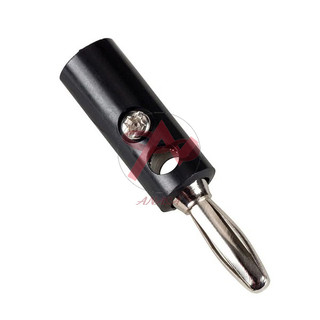 Jack Bắp Chuối Đực Cái Các Loại