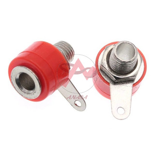 Jack Bắp Chuối Đực Cái Các Loại