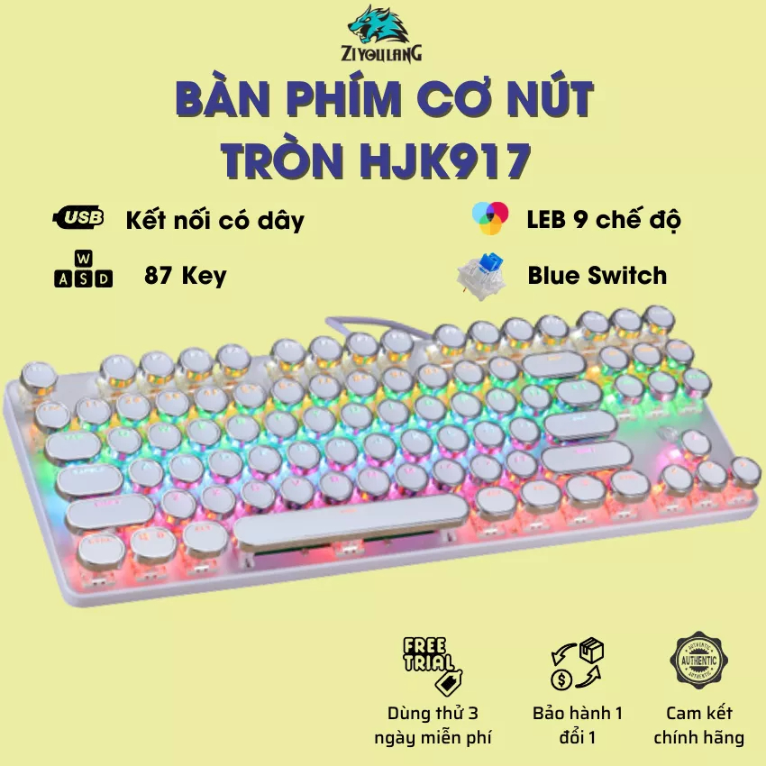 Bàn phím cơ keycap tròn xuyên LED Ziyou HJK917 - 87 Key Mechanical - Blue Switch - Chống nước - 9 chế độ LED