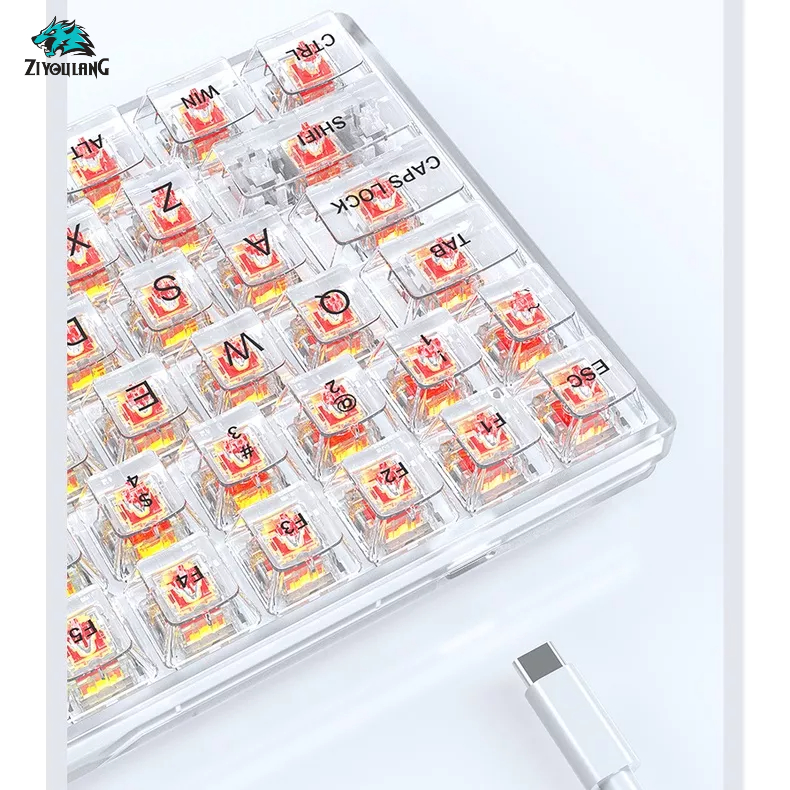 Bàn phím cơ Gaming TKL trong suốt K840 84 phím - 20 chế độ LED Rainbow - Hot-swap - Red/Yellow Switch - Chính hãng