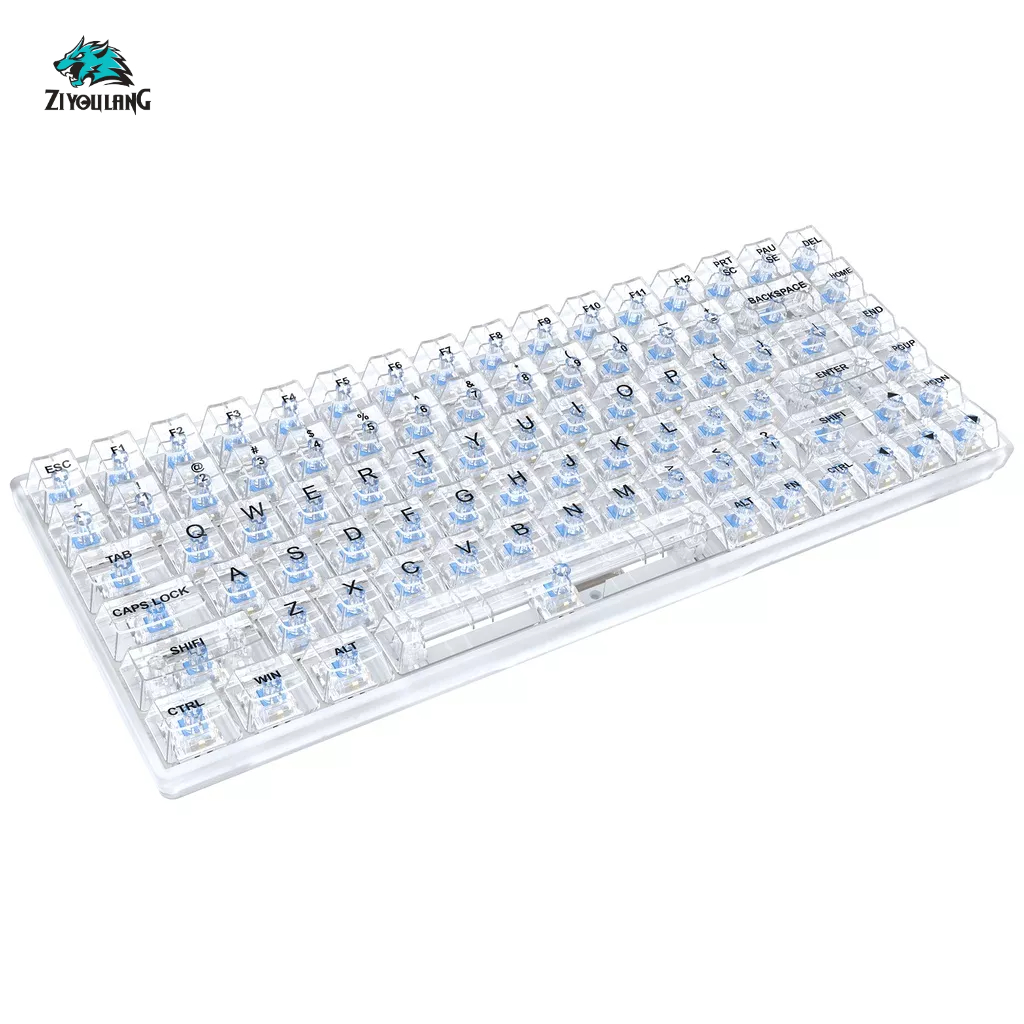 Bàn phím cơ Gaming TKL trong suốt K840 84 phím - 20 chế độ LED Rainbow - Hot-swap - Red/Yellow Switch - Chính hãng