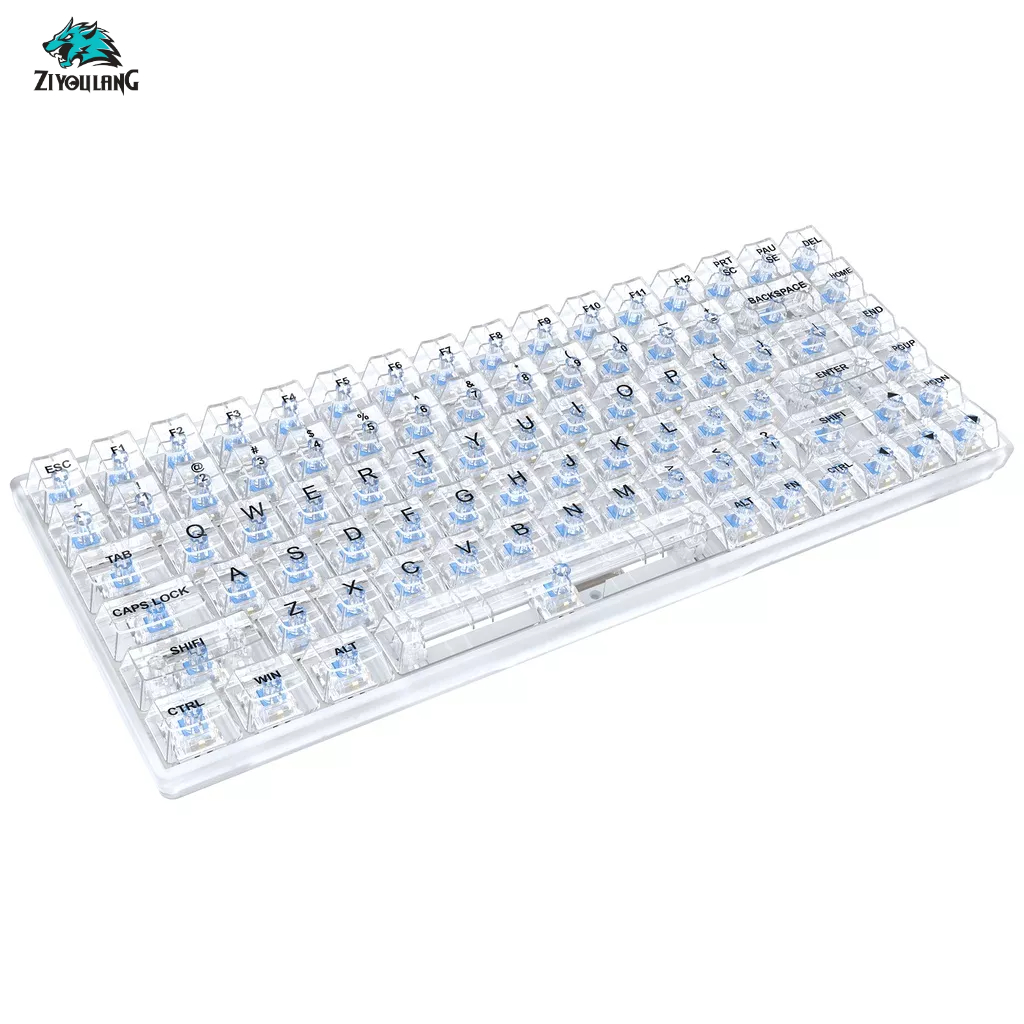 Bàn phím cơ Gaming TKL trong suốt K840 84 phím - 20 chế độ LED Rainbow - Hot-swap - Red/Yellow Switch