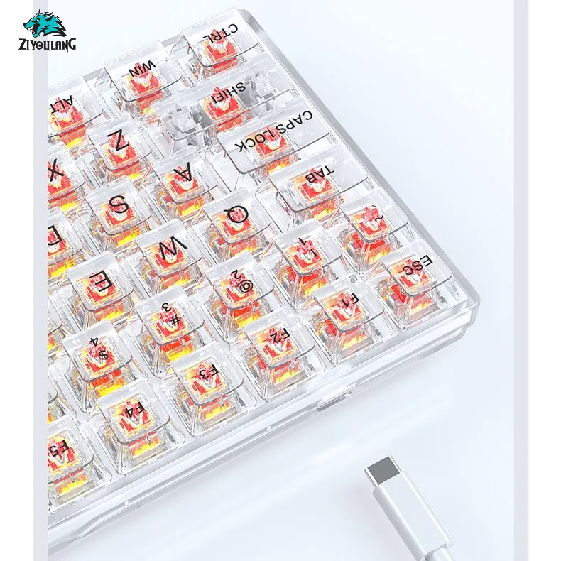 Bàn phím cơ Gaming TKL trong suốt K840 84 phím - 20 chế độ LED Rainbow - Hot-swap - Red/Yellow Switch