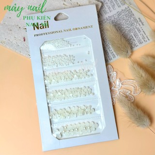 Sét trai nửa gắn móng trang trí móng