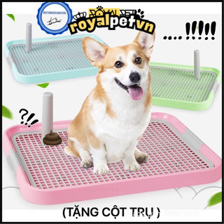 🐶🐶(SIZE TO-)KHAY VỆ SINH CHO CHÓ 🙈🙉