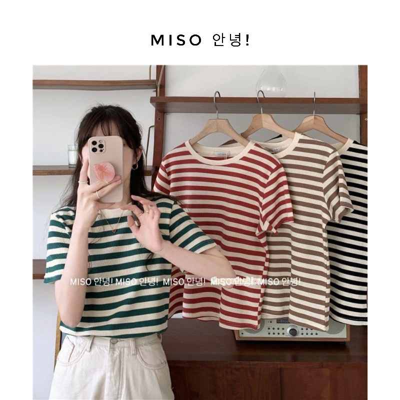 Áo len tăm kẻ to qccc