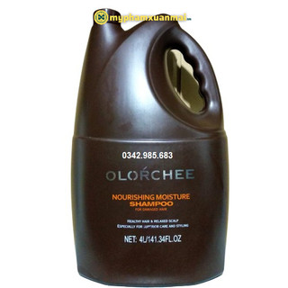 Dầu Gội Xả Olorchee mềm mượt Can 4000ml cho salon